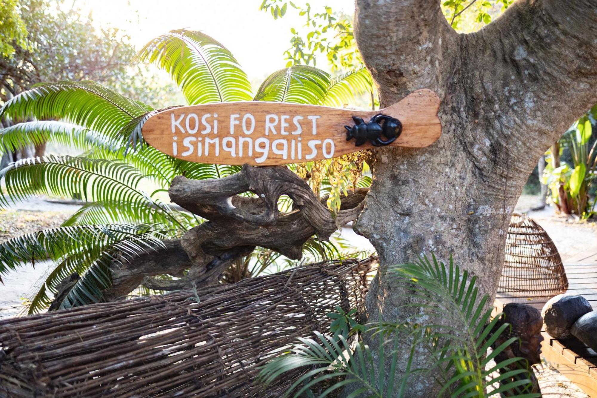 Kosi Forest Lodge Manguzi Exteriér fotografie