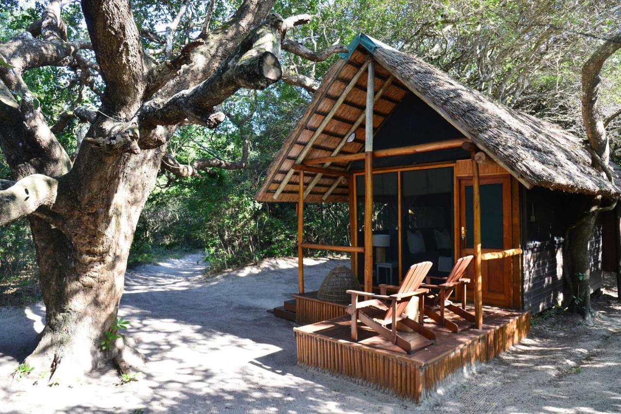 Kosi Forest Lodge Manguzi Exteriér fotografie